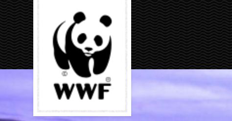 CRYPTONEWSBYTES.COM WWF WWF will use blockchain to eliminate illegal fishing and slave labor in Tuna industry  