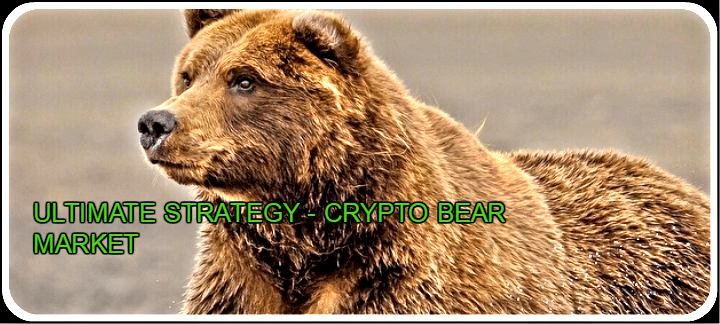 CRYPTONEWSBYTES.COM Bear-market-Crypto The Ultimate Trading Strategy during the Crypto Bear Market  