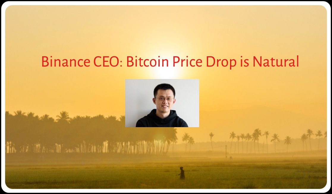 CRYPTONEWSBYTES.COM Binance-CEO_-Bitcoin-Price-Drop-is-Natural Binance CEO: Bitcoin Price Drop is Natural  