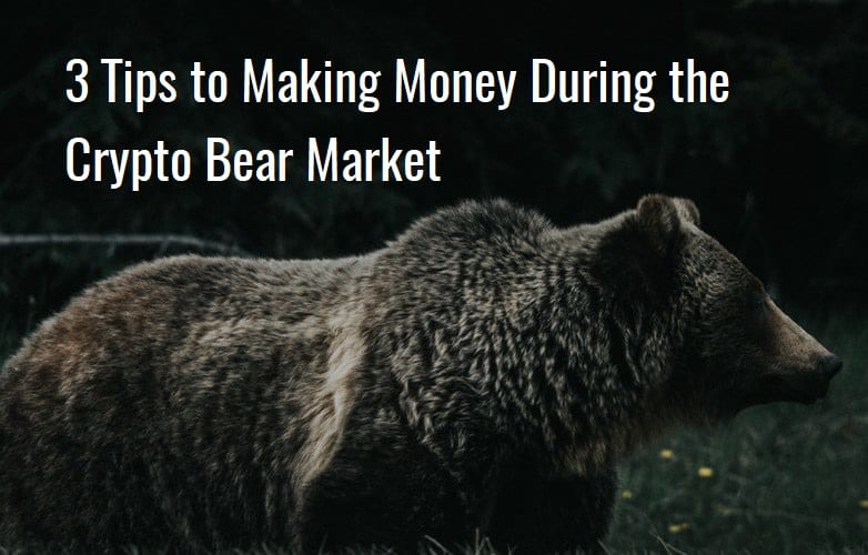CRYPTONEWSBYTES.COM bear 3 Tips to Making Money During the Crypto Bear Market  