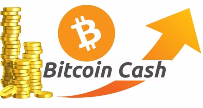 CRYPTONEWSBYTES.COM Bitcoin-Cash Bitcoin Cash plunges below $500 mark as crypto market crumble persists!  