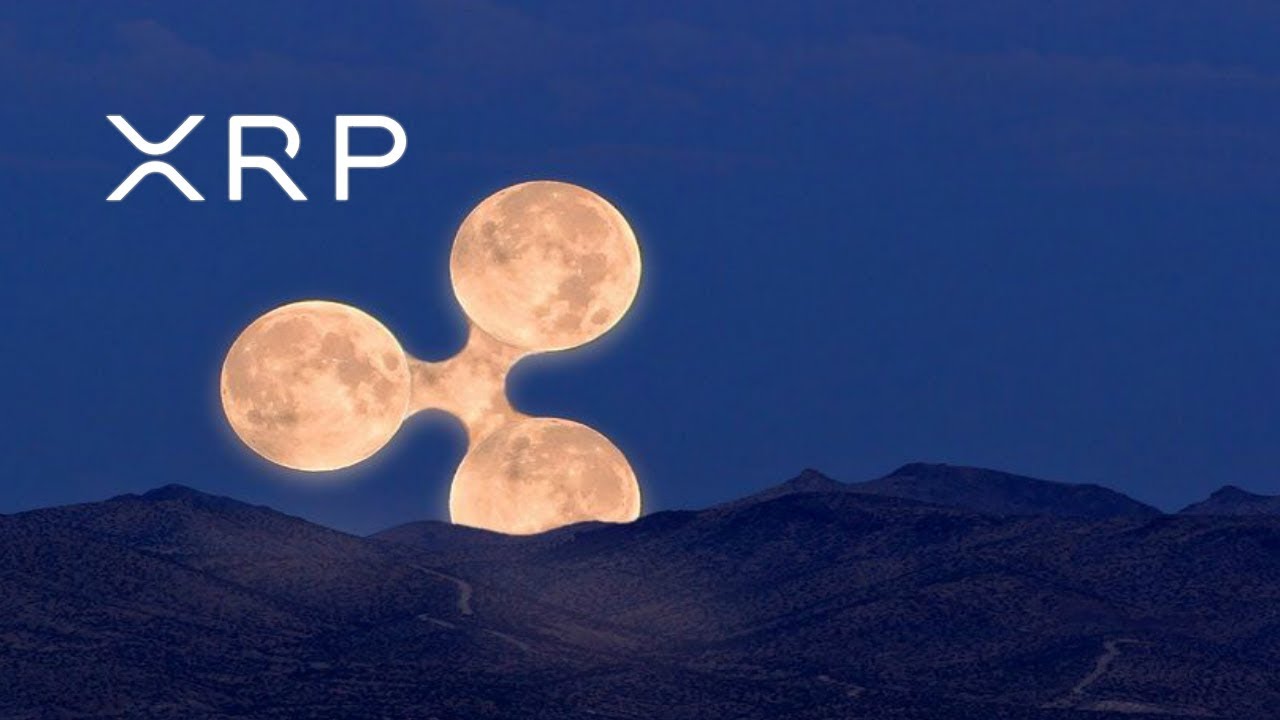 CRYPTONEWSBYTES.COM maxresdefault Ripple Enters Into Donations Collaboration with Elon Musk's SpaceX Partner  