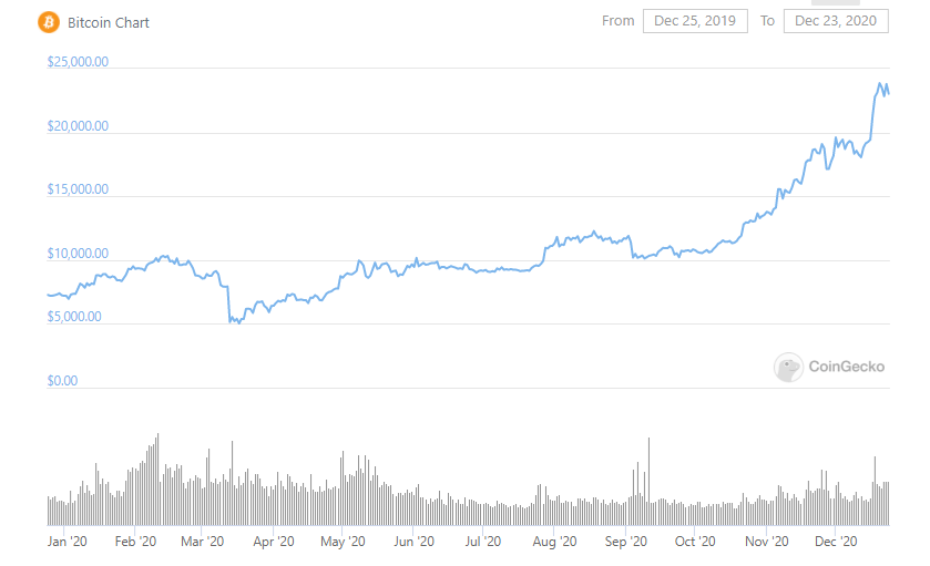 CRYPTONEWSBYTES.COM btc-365-2 Bitcoin (BTC) on the Throne with 23,000$ Market Price  
