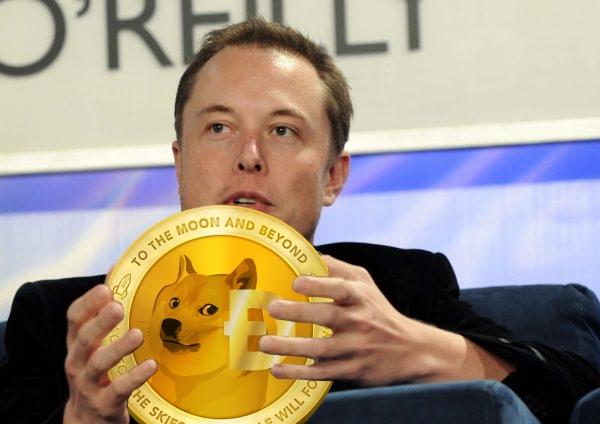 CRYPTONEWSBYTES.COM doge-cover-1 Elon Musk Still in Trouble as Dogecoin Legal Case Lingers  
