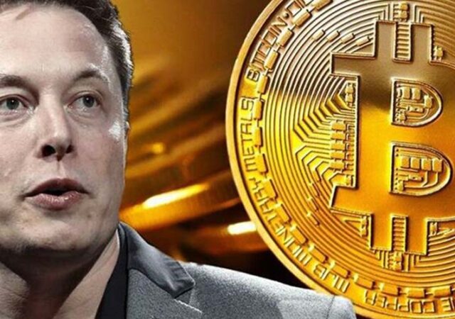 CRYPTONEWSBYTES.COM elon-640x450 Did Elon Musk Trigger the Latest Bitcoin Spike to 48,000$?  