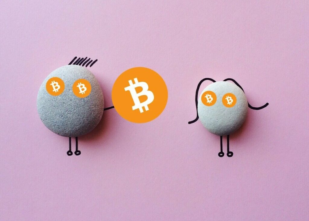 CRYPTONEWSBYTES.COM pexels-pixabay-326612-1-1-1024x733 Bitcoin a Hyped-up Fraud and a Pet Rock - JPMorgan CEO  