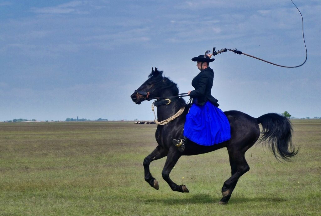 CRYPTONEWSBYTES.COM horse-g897a6eb66_1280-1024x692 Gensler Receives Powerful Lashes from Congress Majority Whip  