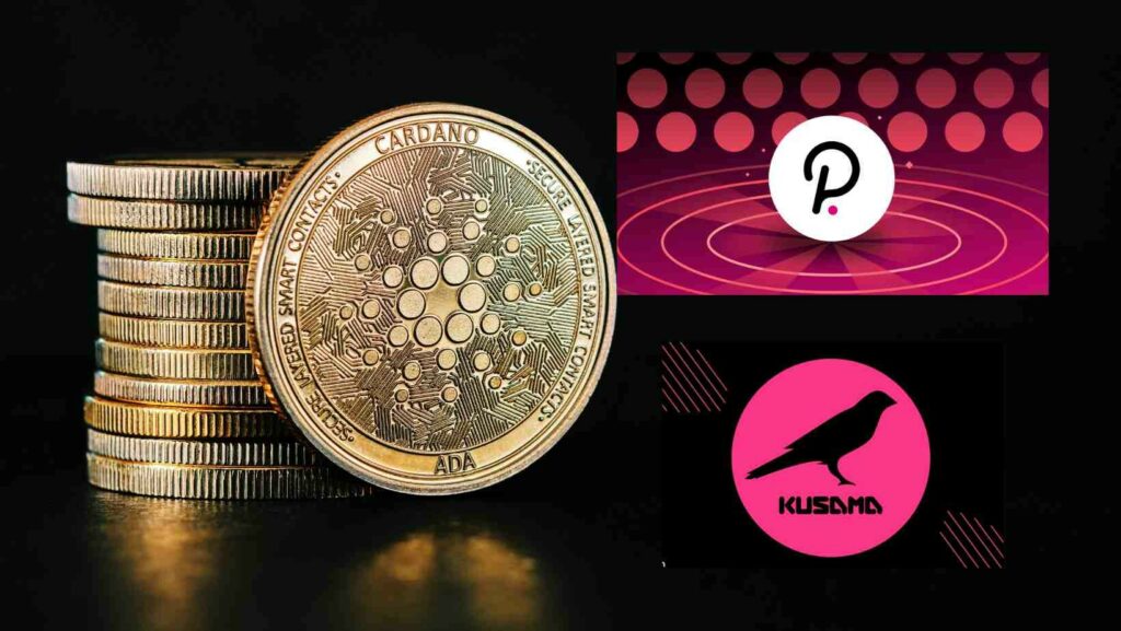 CRYPTONEWSBYTES.COM Polkadot-Kusuma-Cardano-Crypotnewsbytes-1024x577 ADA Surpassed Polkadot and Kusama in this Blockchain Metric  
