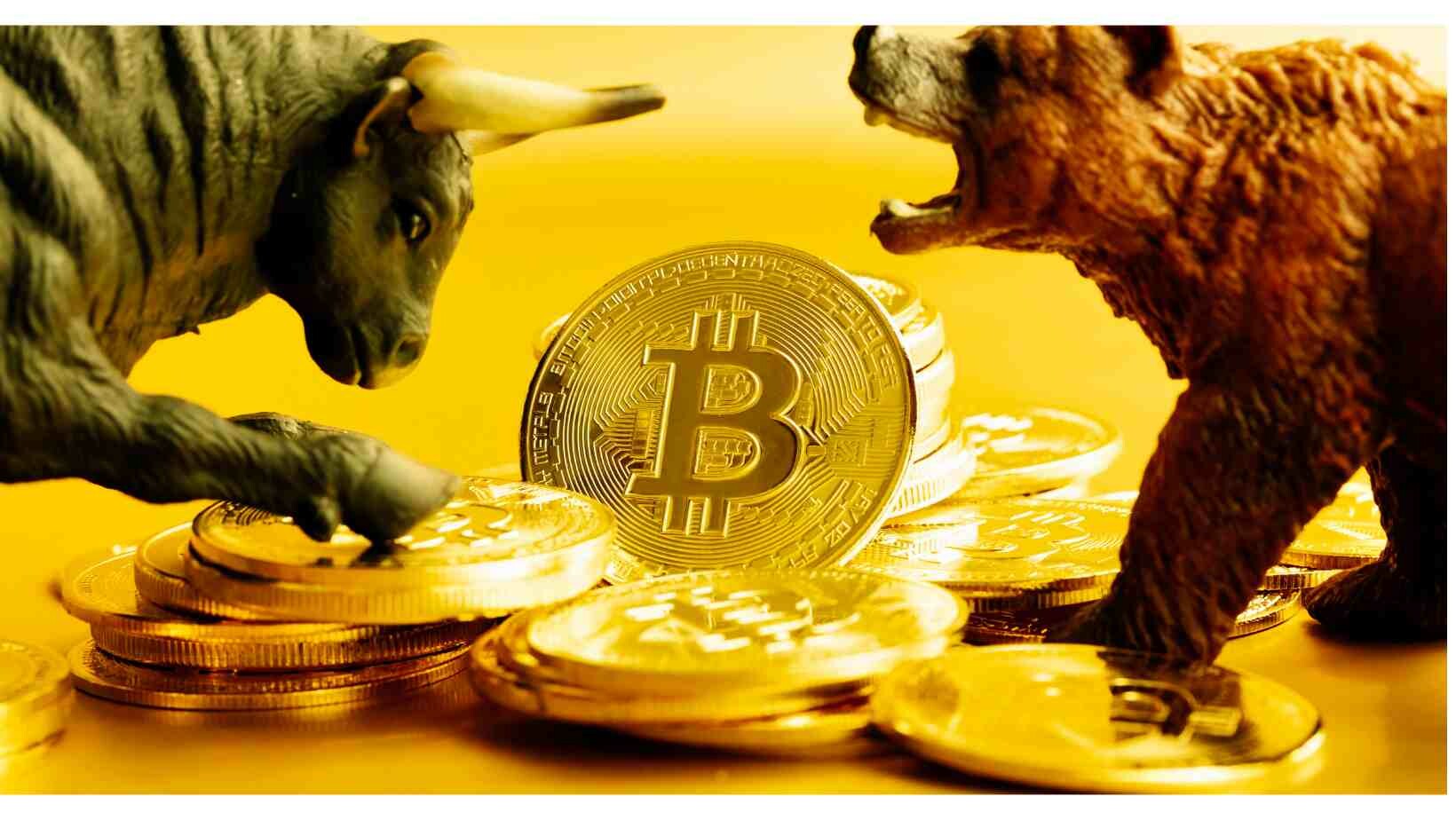 CRYPTONEWSBYTES.COM bitcoin-bear-and-bull Investor Perspective in Crypto Markets. Will Bitcoin drop to 12,000? - Michaël van de Poppe  