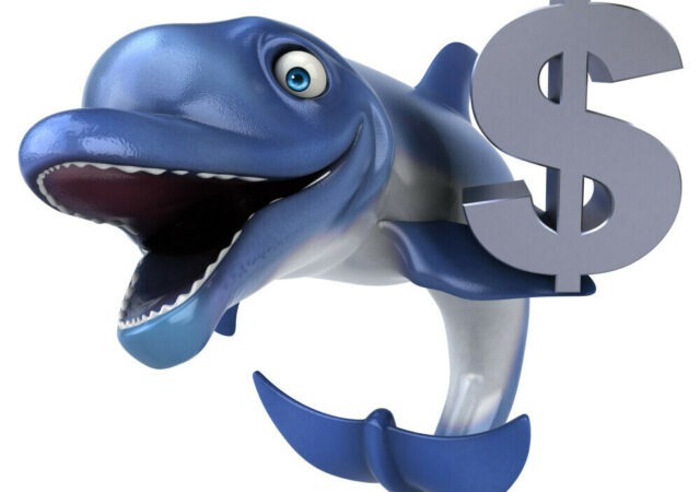 CRYPTONEWSBYTES.COM funny-dolphin-3d-illustration-1-640x450 These Whales Suddenly Moved Over 776M Dogecoin. Where Did it Head to?  