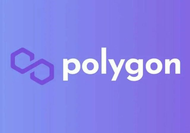 CRYPTONEWSBYTES.COM polygon-matic-640x450 The Underrated Role Polygon Played For the Successful Shibarium Relaunch  