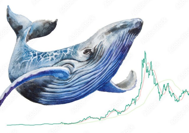 CRYPTONEWSBYTES.COM AdobeStock_210046141_Preview-640x450 The Behemoth Awakens: $56M Bitcoin Whale Suddenly Surfaces After 6 Years  