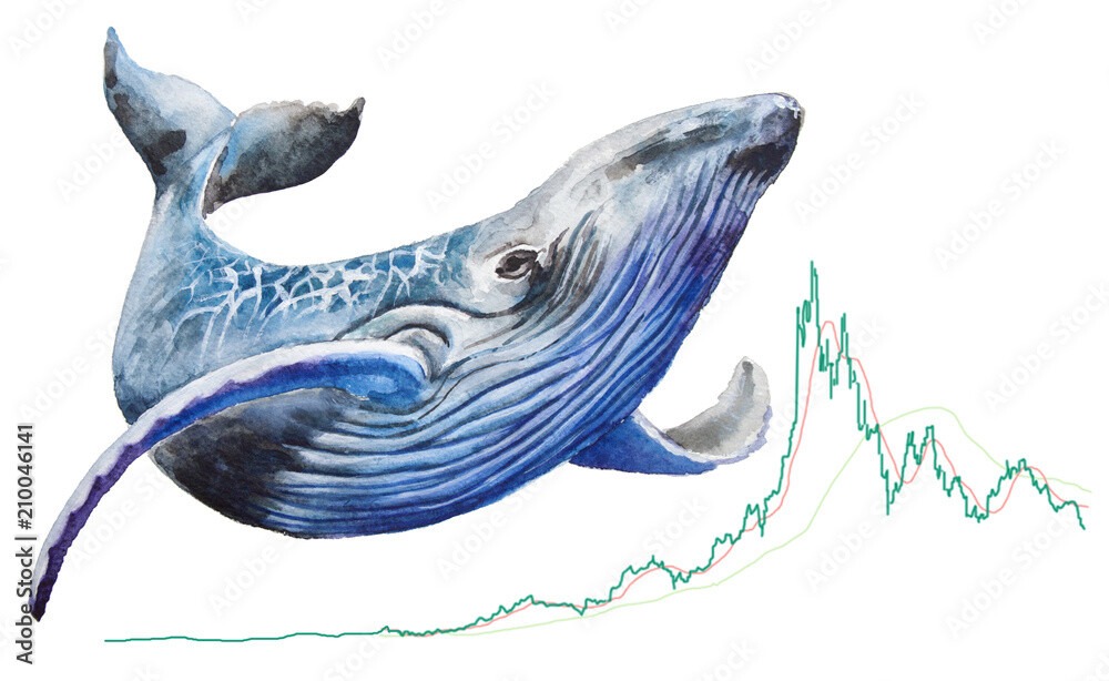 CRYPTONEWSBYTES.COM AdobeStock_210046141_Preview The Behemoth Awakens: $56M Bitcoin Whale Suddenly Surfaces After 6 Years  