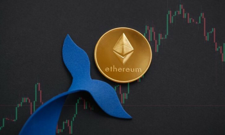 CRYPTONEWSBYTES.COM Eth-whale-1 Do You Have an Ethereum Investment? Run For Your Life as Two Ethereum Whales Combine to Transfer Over $60 Million Ethereum  