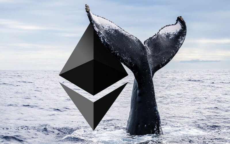 CRYPTONEWSBYTES.COM Ethereum-Price-Balks-As-Dormant-Whales-Reactivate Ethereum Whale Swaps $10M USDC for 6K ETH Amidst ETH Price Surge - What It Signals  