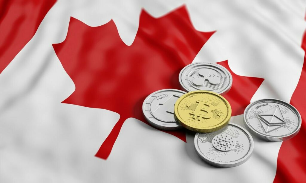 CRYPTONEWSBYTES.COM canada-crypto-wallet-protests-1024x614 Stablecorp to Enable Payments and Ultra Low-Cost CAD / USD On-Chain FX with QCAD on Solana  