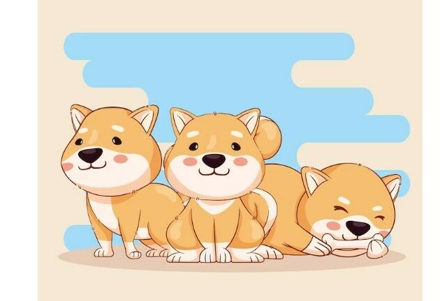 CRYPTONEWSBYTES.COM shiba-640x432 Read This Incredible Story of How a $3,400 Shiba Inu Investment Turned to $1.55 Billion in a Year  