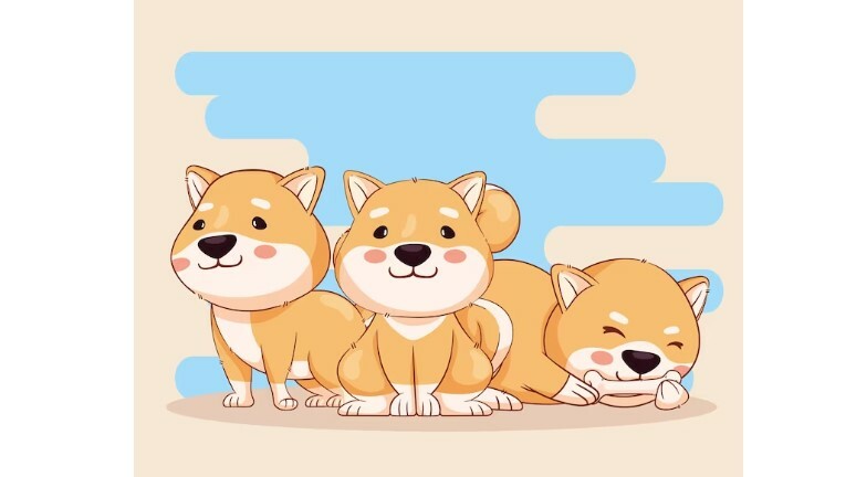 CRYPTONEWSBYTES.COM shiba Read This Incredible Story of How a $3,400 Shiba Inu Investment Turned to $1.55 Billion in a Year  