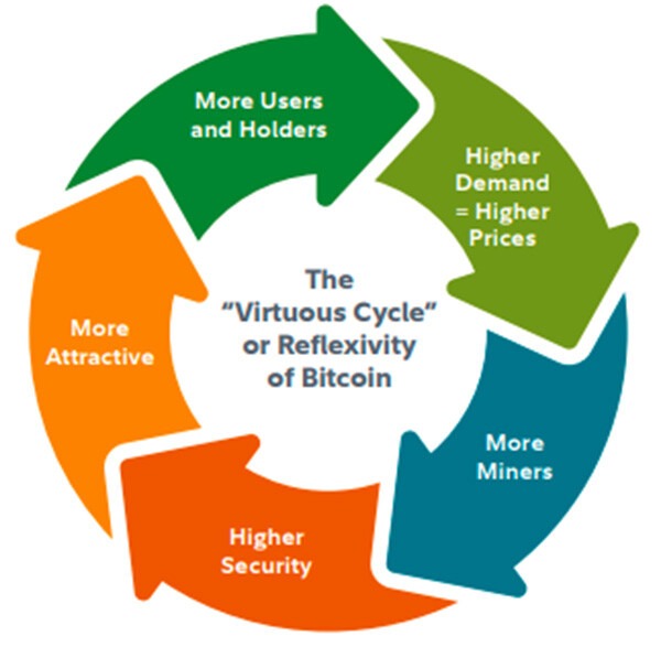 CRYPTONEWSBYTES.COM Screenshot-2023-10-11-212501 Bitcoin's Distinctiveness: A Must-Consider for Investors Amidst Digital Assets  