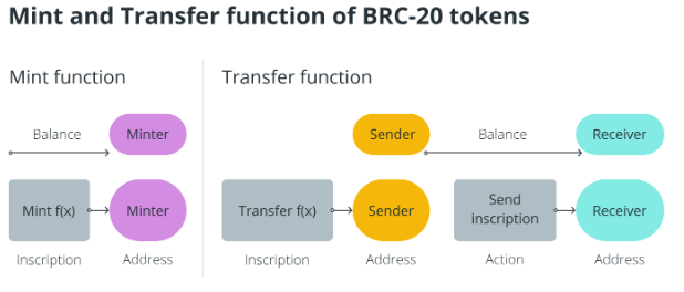 CRYPTONEWSBYTES.COM BRC-20 The New Bitcoin's BRC-20 Token VS ERC-20 Token Explained  