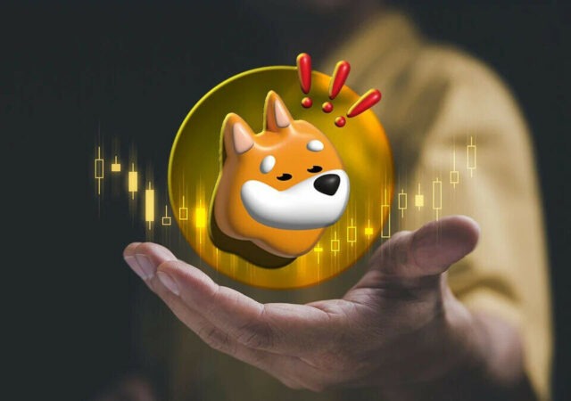 CRYPTONEWSBYTES.COM Bonk-Inu-2-640x450 Profiting $4.4 Million: The Journey of a Trader in the BONK Cryptocurrency  