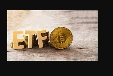 CRYPTONEWSBYTES.COM bitcoin-Efts- Spot Bitcoin ETFs Potential Approval: McClurg's Insights and Crypto's Evolution  