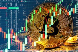 CRYPTONEWSBYTES.COM btc-future- Bitcoin Hits Fresh Highs: Pompliano Insights on the Crypto sphere  