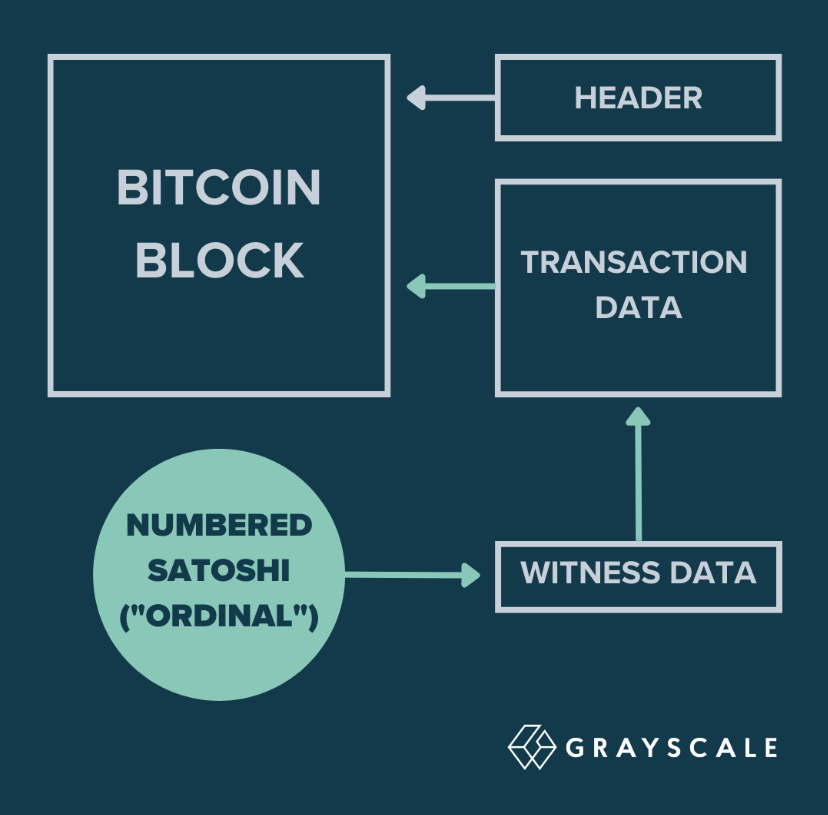 CRYPTONEWSBYTES.COM chrome_GzvT1slAky A Comprehensive Guide to Bitcoin Ordinals: How Do They Work? Where to Buy and Sell Bitcoin Ordinals?  