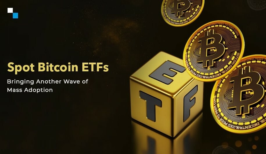 CRYPTONEWSBYTES.COM SP-2 Bitcoin ETF Surge Raises Concerns for Coinbase Future, warns Chris Grisanti of MAI Capital - Is it Time to Stay Away?  