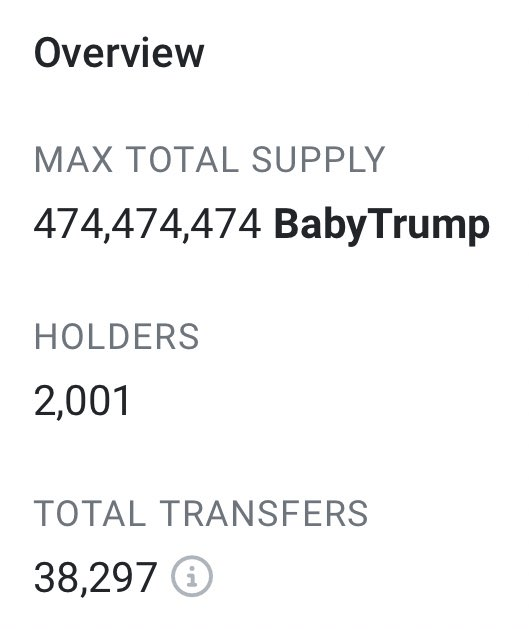 CRYPTONEWSBYTES.COM image Breaking! Donald Trump Gives Birth to a New Cryptocurrency as Baby Trump Attracts Investors  
