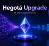Hegotá upgrade