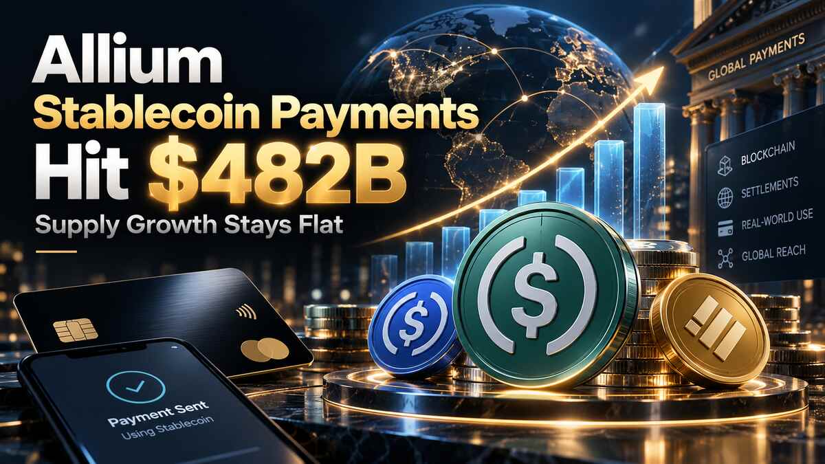 Stablecoin Payments Hit 2b As Supply Stalls